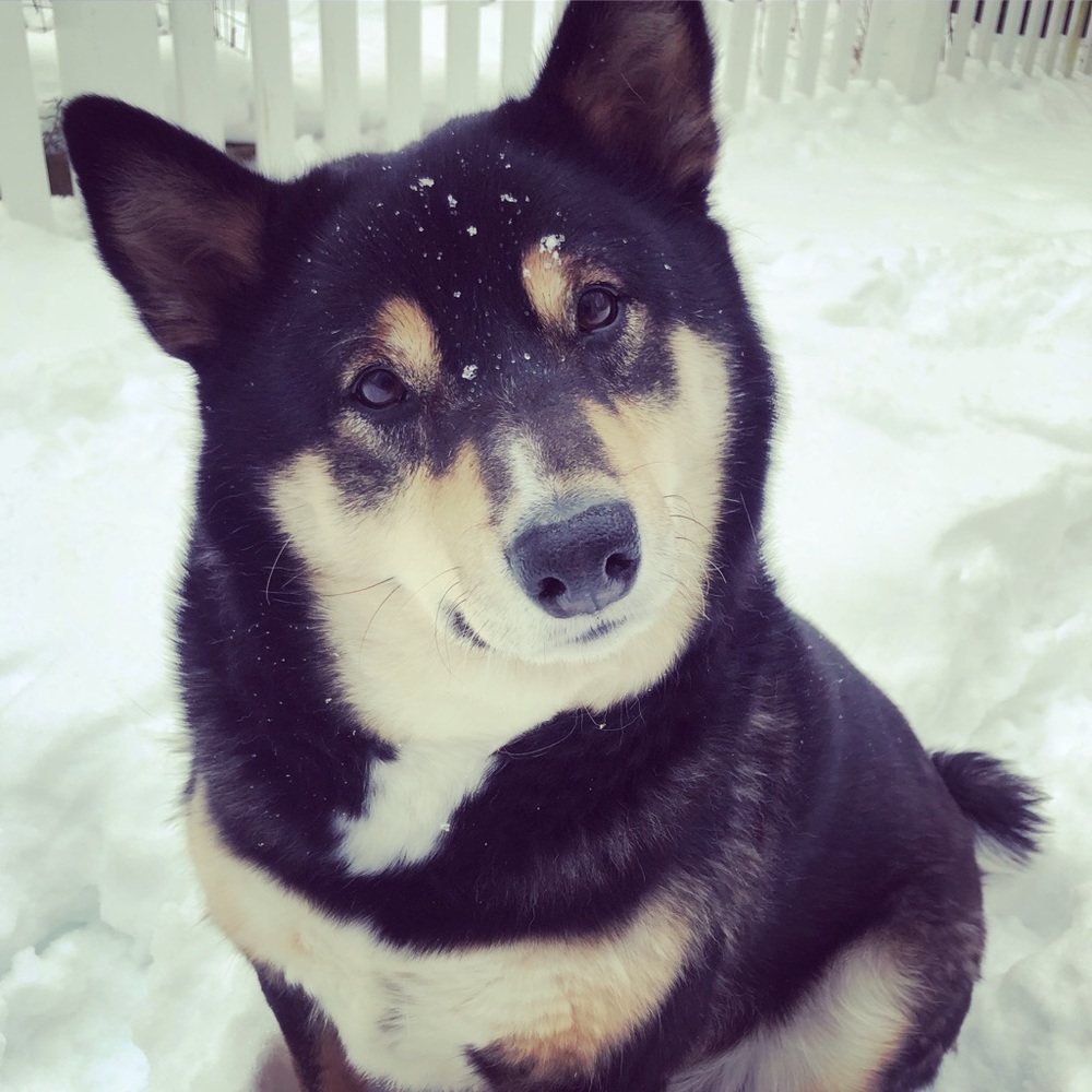 Meet your Posher, Kiera lewis